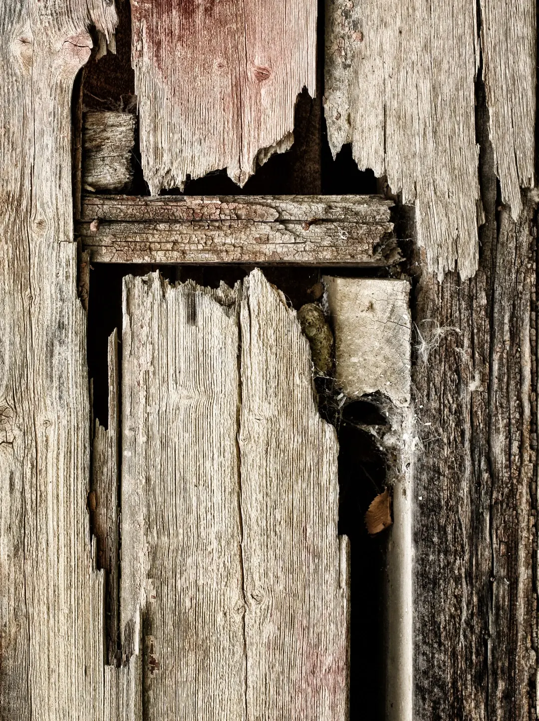 madera no recomendada para exterior