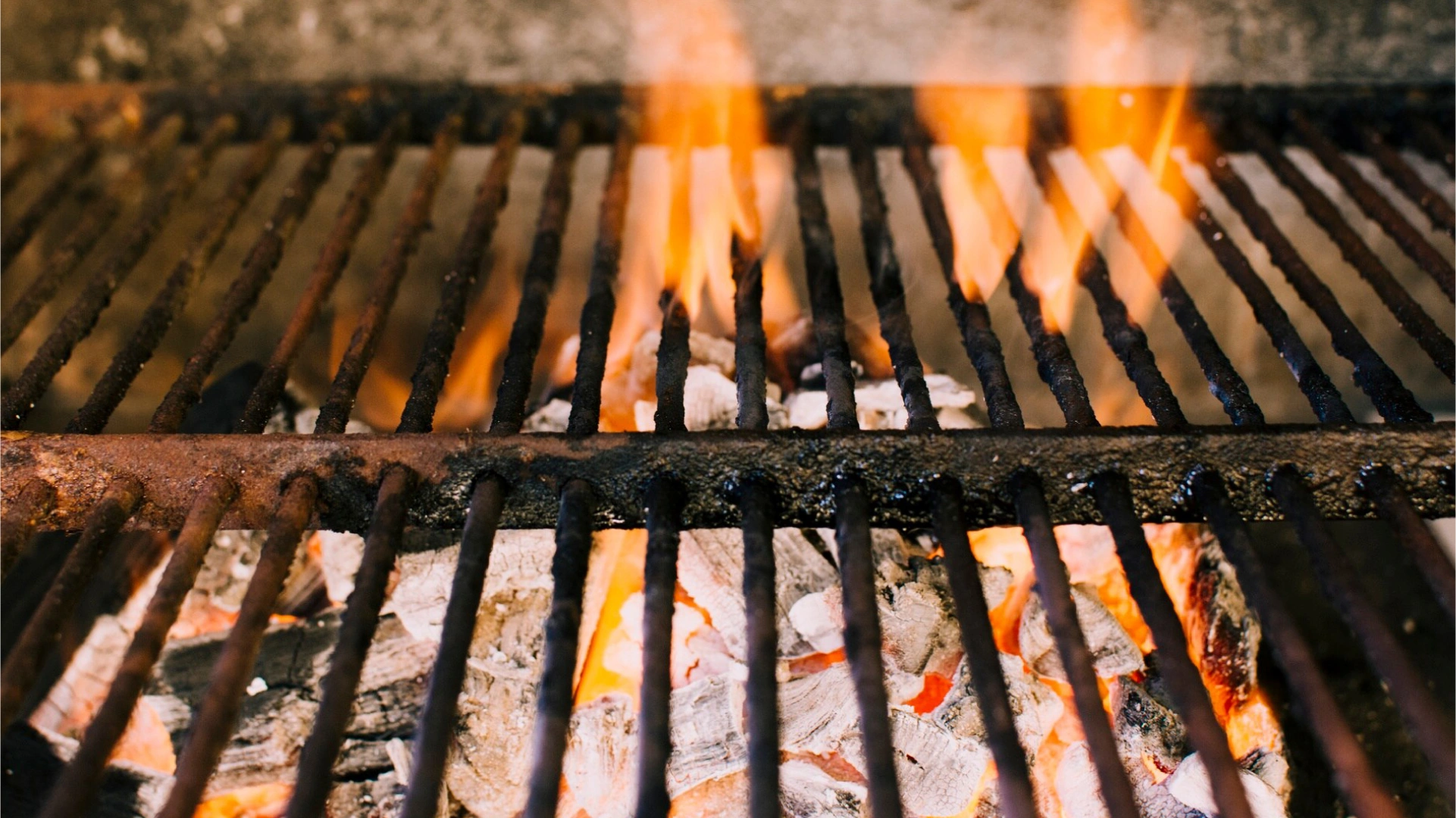 barbacoa barata